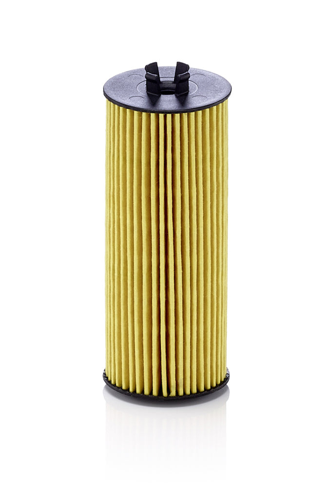 Tepalo filtras HU6009z
