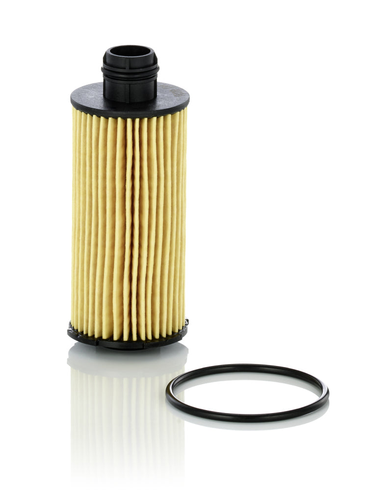 Tepalo filtras HU6026z