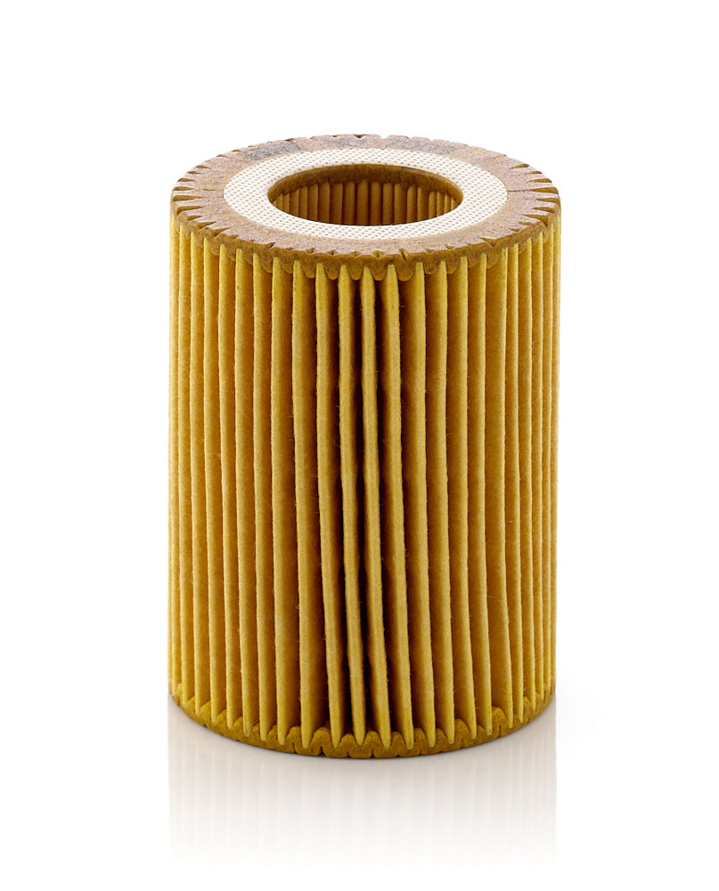 Tepalo filtras HU7003x