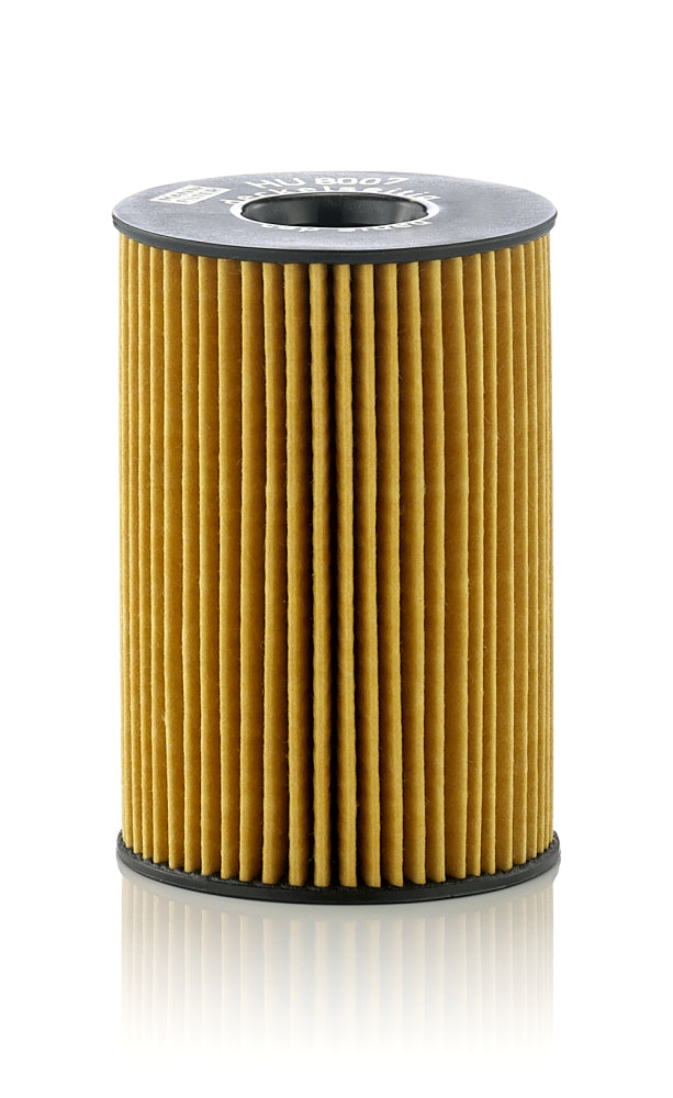 Tepalo filtras HU8007z