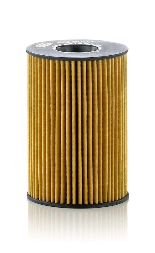Tepalo filtras HU8007z
